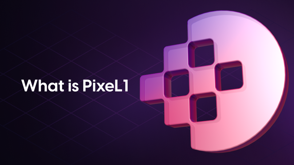 What is PixeL1